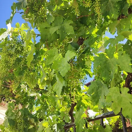 Santa Ana San Martin del Camino