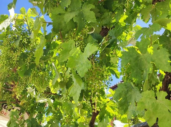 Santa Ana San Martín del Camino